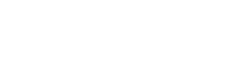 STS Logo